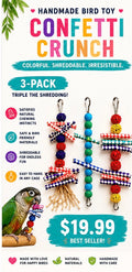 Confetti Crunch Bird Toy 3 Pack