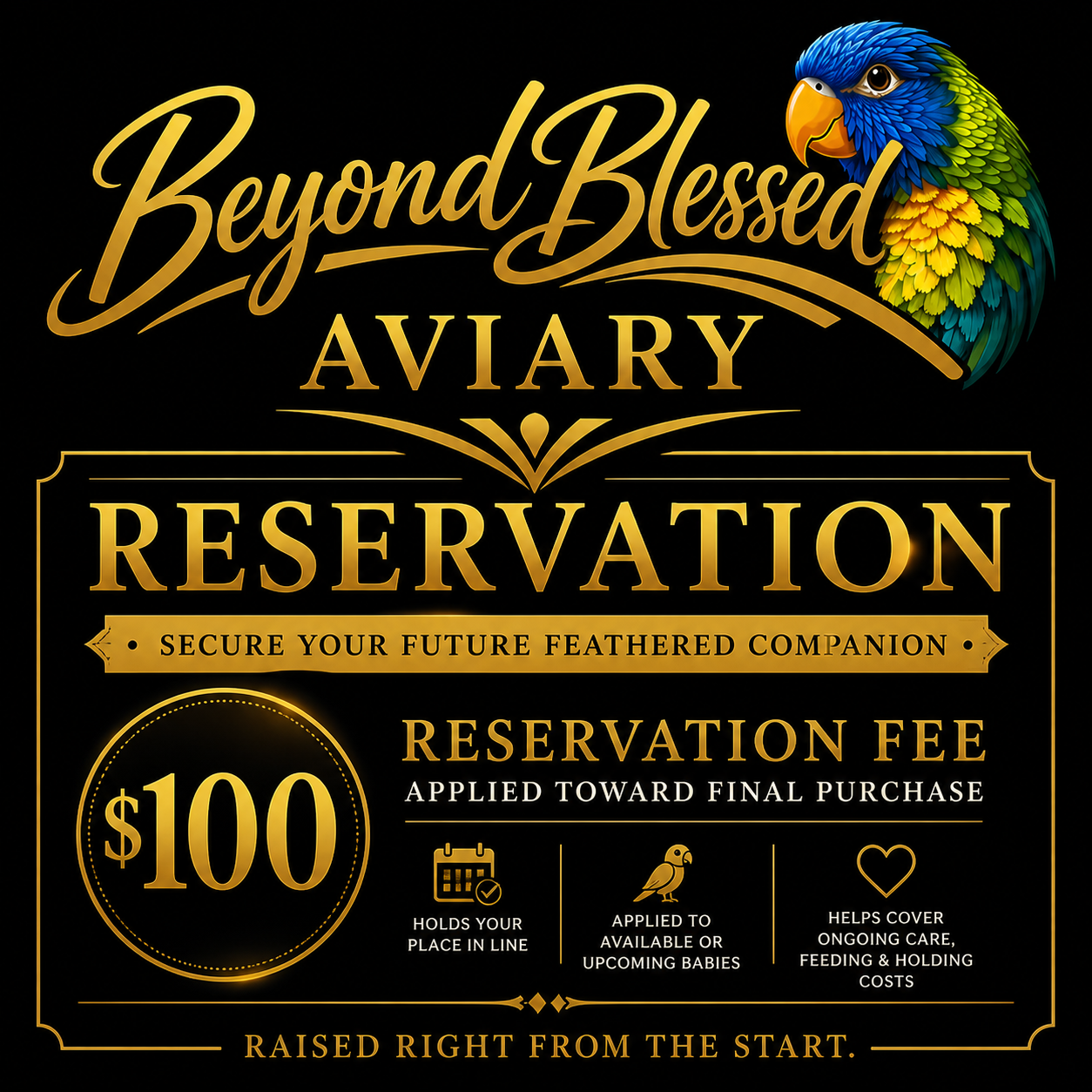 Beyond Blessed Aviary Bird Reservation